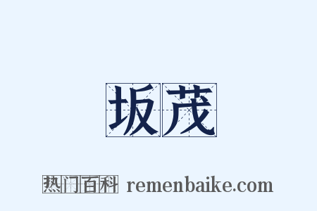 坂茂是什么意思的图片